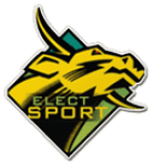 Elect-Sport