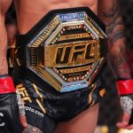 Calendrier des événements UFC 2024 : Hernandez contre Pereira