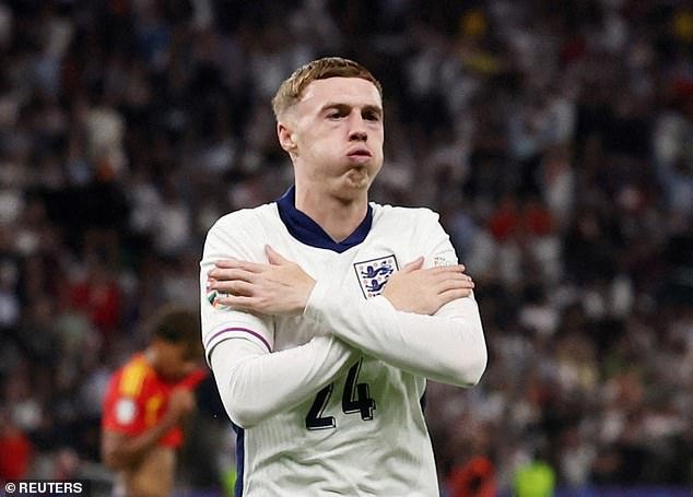 Palmer a reçu neuf sélections avec les Three Lions mais n'a débuté que deux fois jusqu'à présent