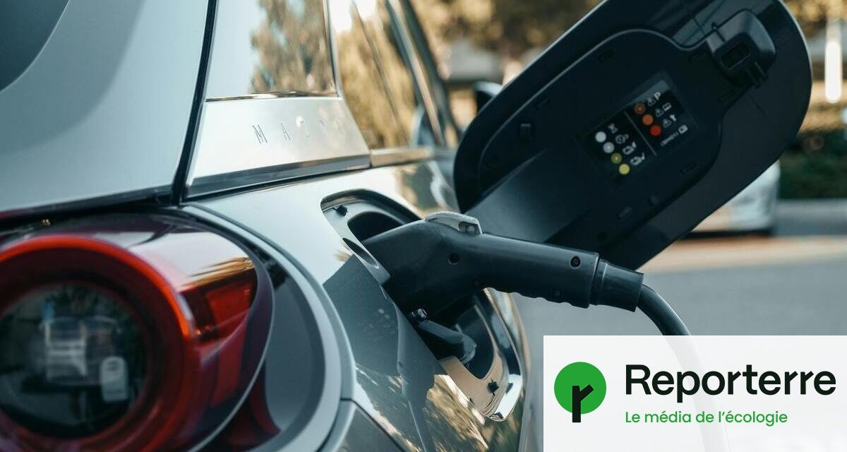 Nouvelles mesures écologiques en 2025 - Interdiction sur terrains sportifs