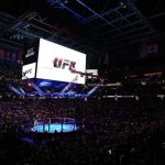 Calendrier UFC 2025 - Pereira- Ankalaev et Volkanovski en Action