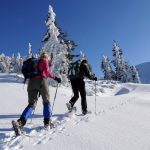 Découvrez les bienfaits de la raquette à neige pour votre santé