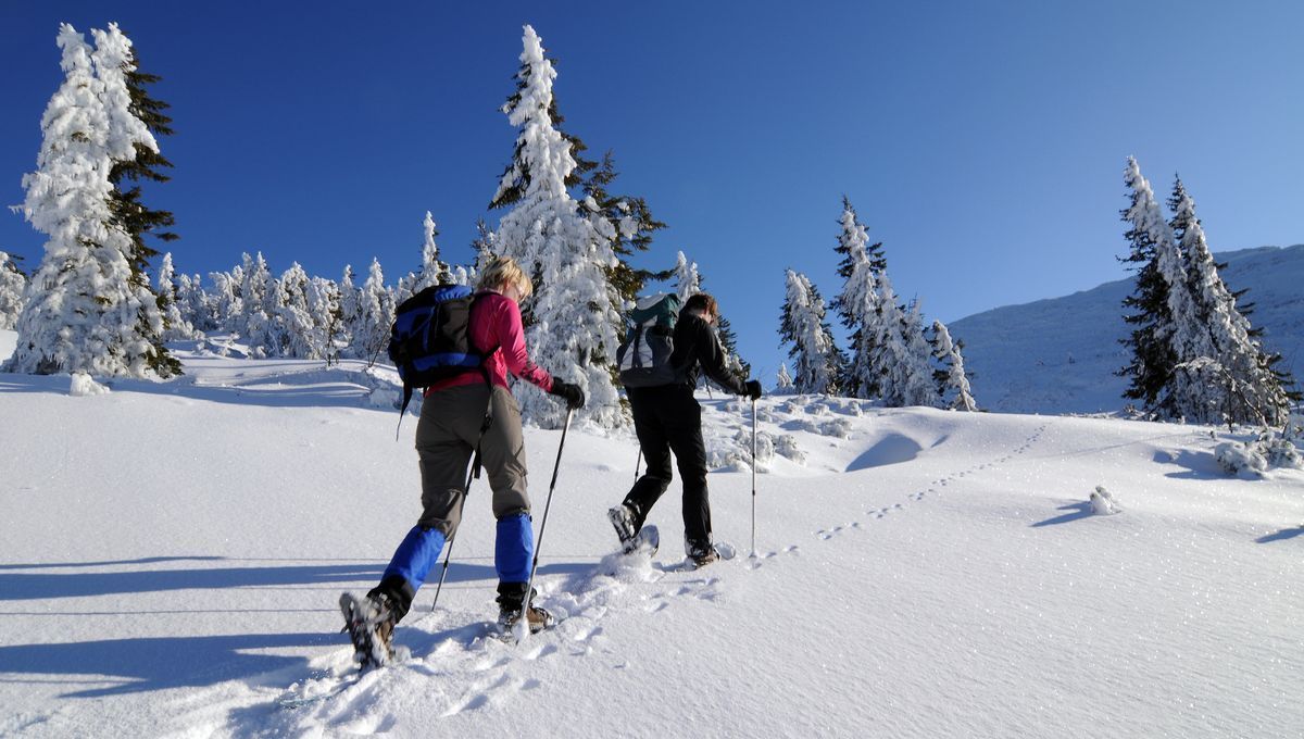 Découvrez les bienfaits de la raquette à neige pour votre santé