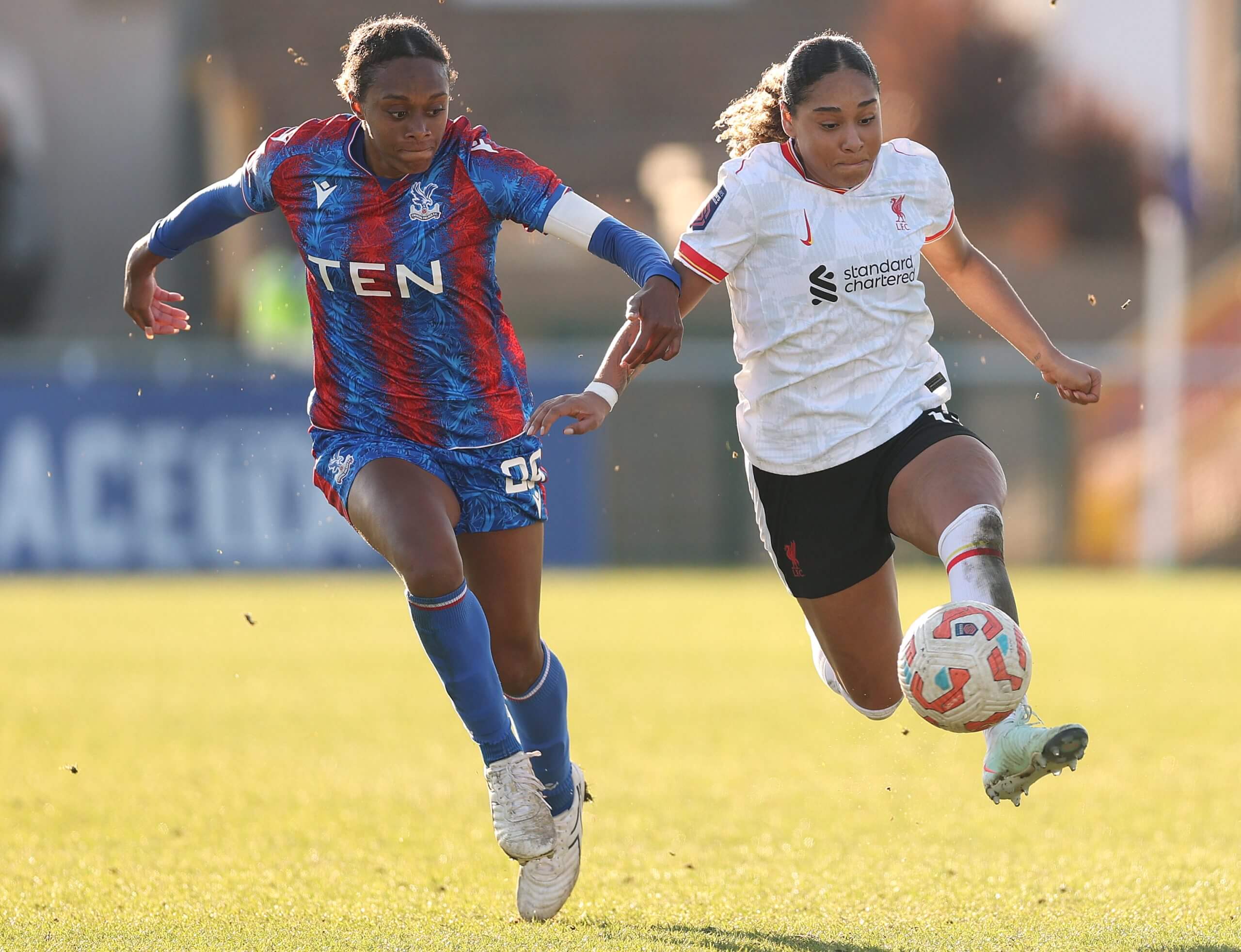 Matt Beard sur le terrain