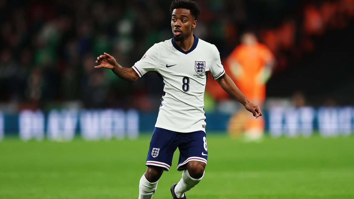 Angel Gomes snobe une offre de West Ham pour rester à Lille