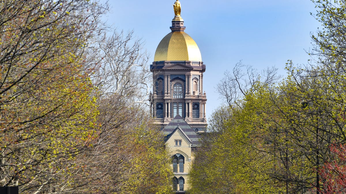 Chase Emmer remporte son premier titre de champion NCAA