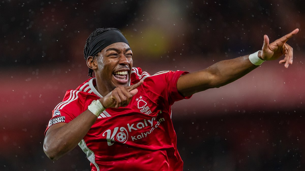 Les -catapultes- - Comment les outsiders de la Premier League frappent fort