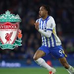 Liverpool vise Joao Pedro - Brighton refuse la clause de sortie