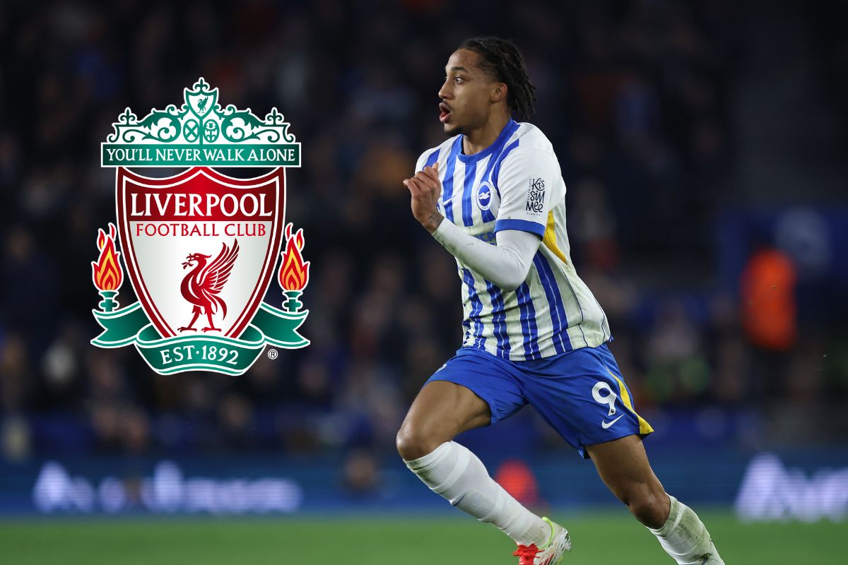 Liverpool vise Joao Pedro - Brighton refuse la clause de sortie