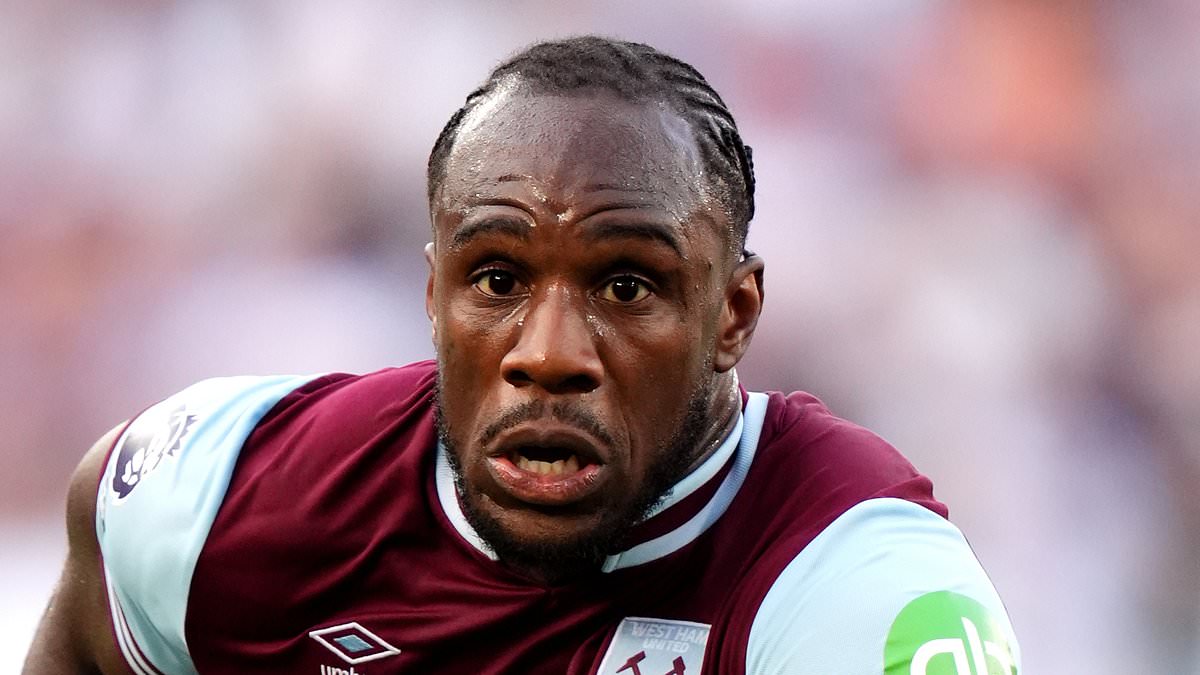 Michail Antonio - retour sur le terrain après un grave accident