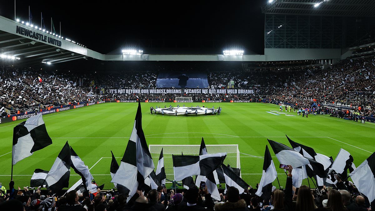 Newcastle - Un nouveau stade pour l-avenir du club