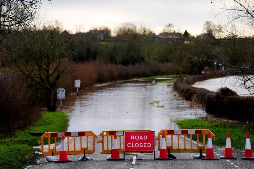 Matheus Cunha sous le maillot de Wolverhampton