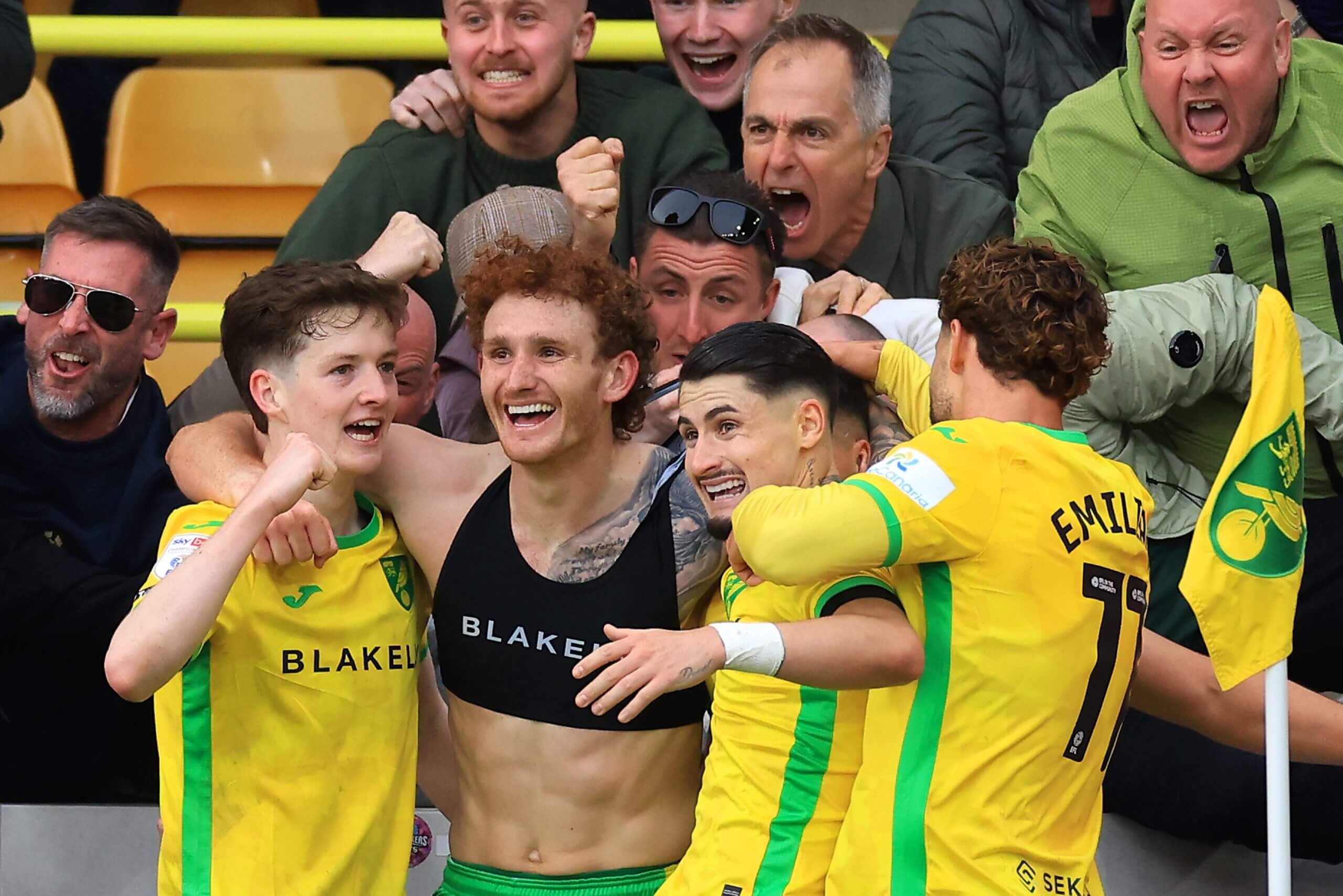 Josh Sargent lors du match avec Norwich