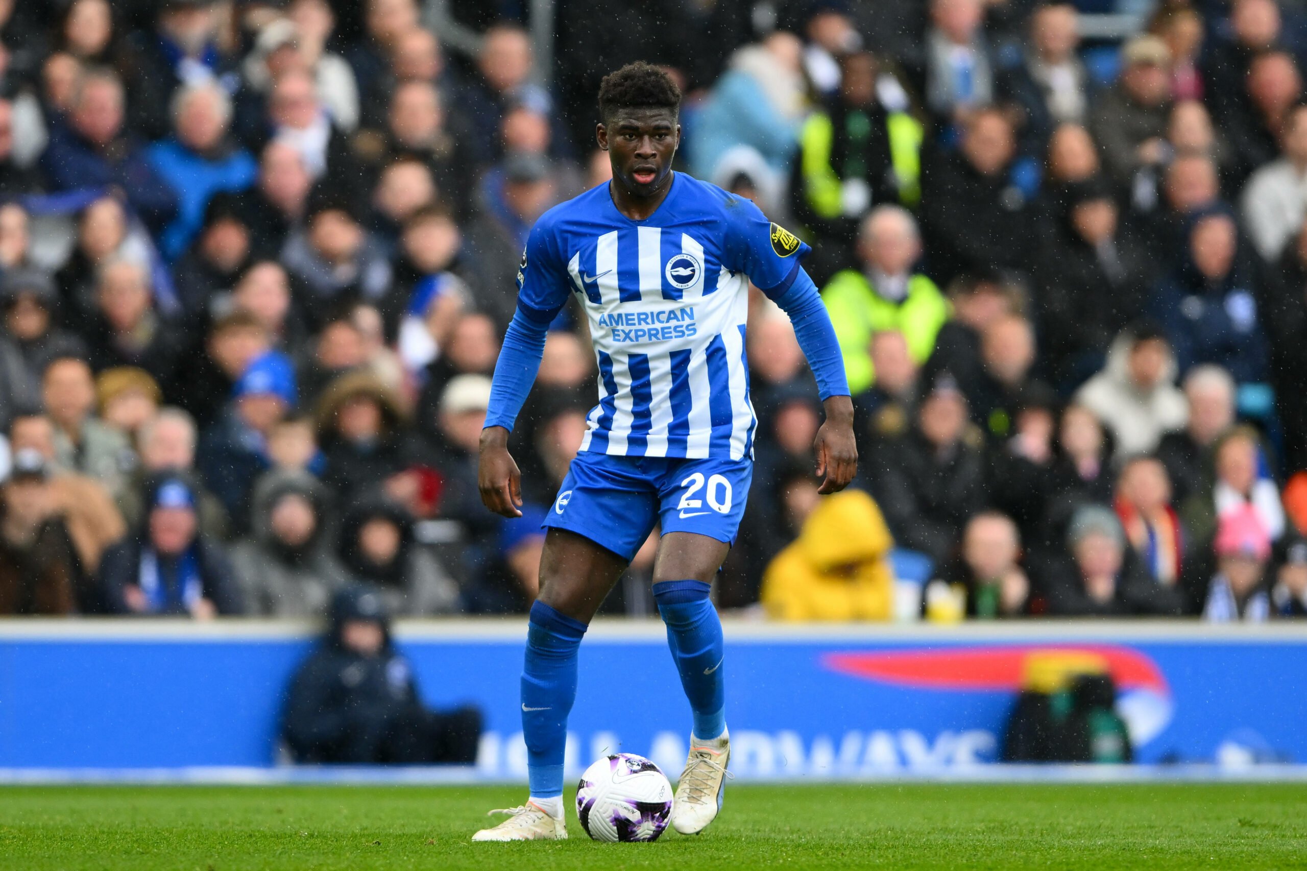 Joao Pedro en action sous le maillot de Brighton