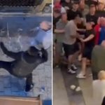 Bagarre entre supporters de Man Utd et Tottenham avant la finale d’Europa League