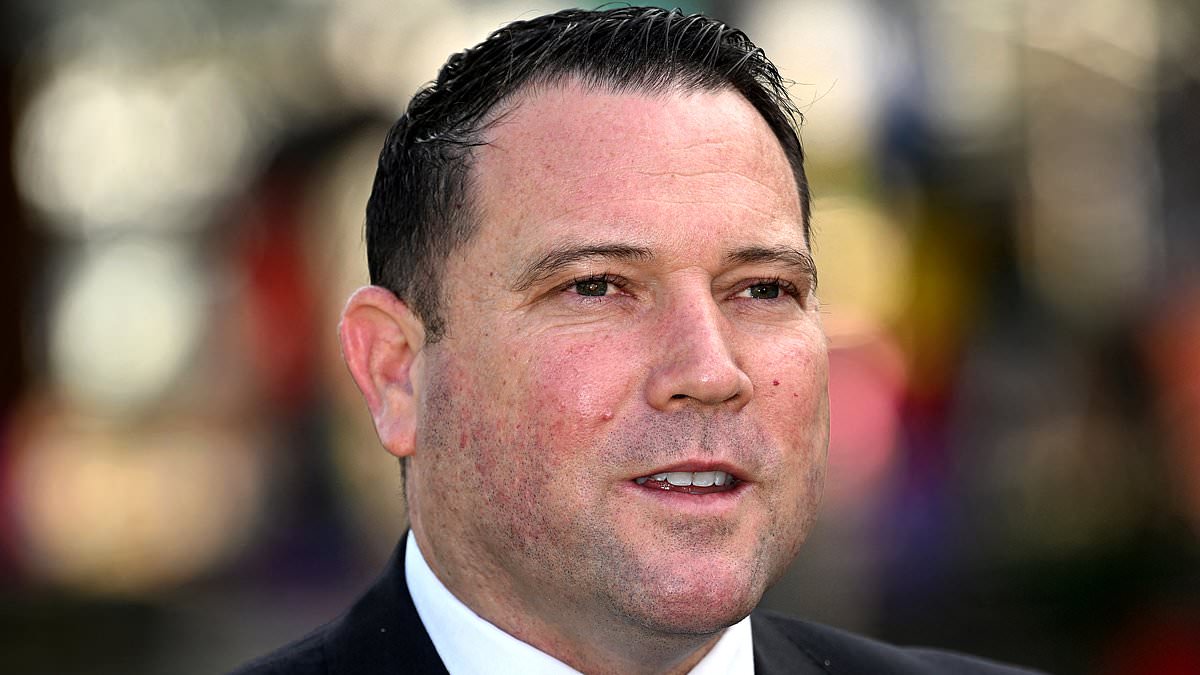 Football Australie - déficit record de 8-5 millions d-euros en 2024