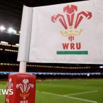 Les MPs réclament l-égalité entre régions du rugby gallois