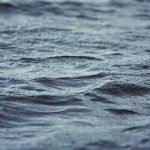 Nageuse française Marion Joffle entre dans le Guinness à 25 ans