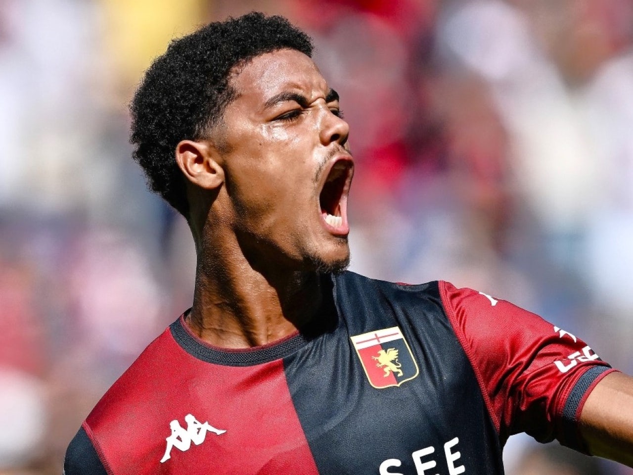 Tottenham vise Koni De Winter- le -nouveau Kompany- à 25-2 M£