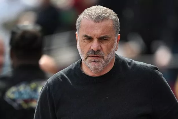 Ange Postecoglou, entraîneur de Tottenham