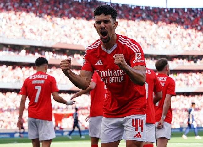 Tomas Araujo sous les couleurs de Benfica
