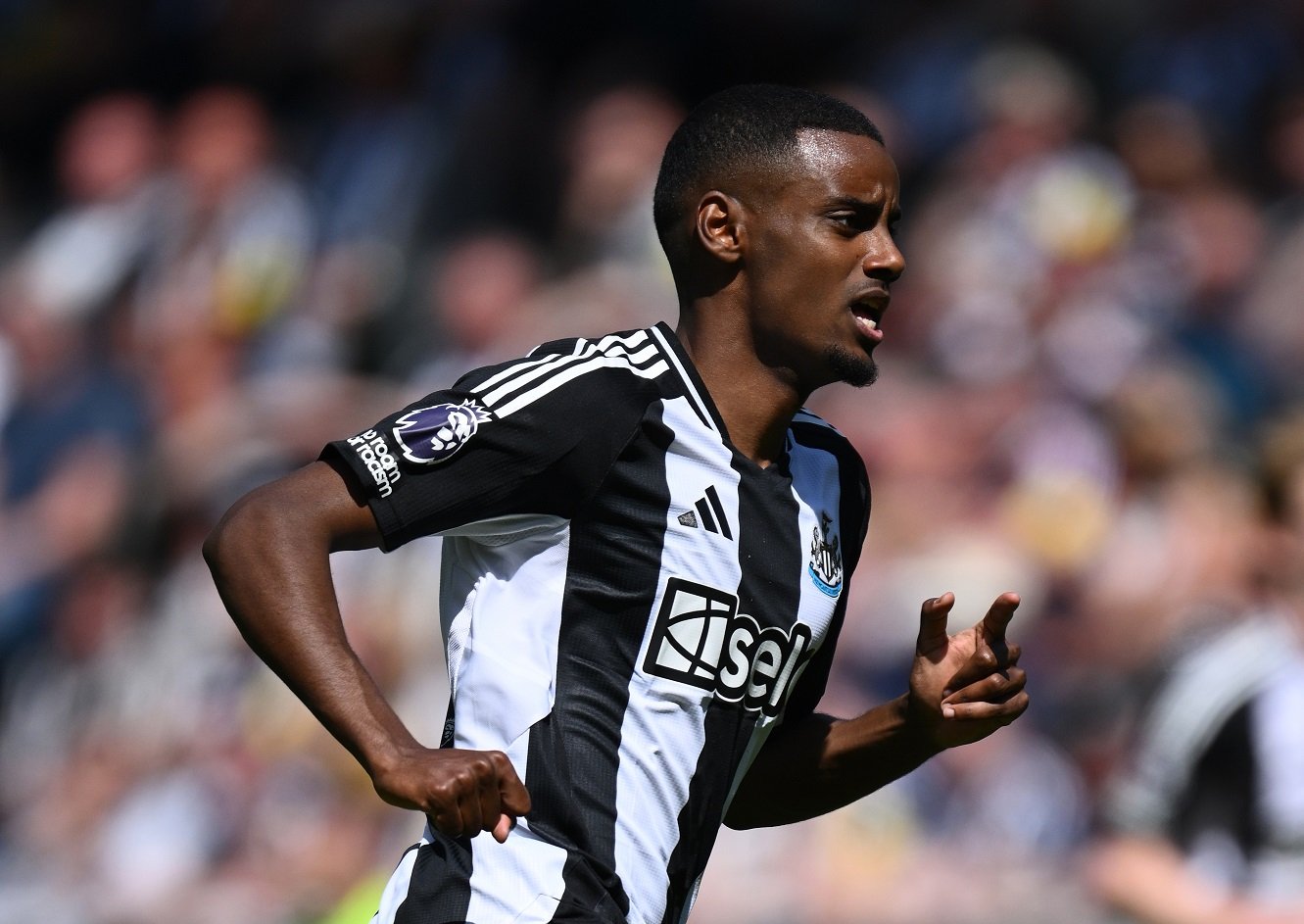 Alexander Isak en action pour Newcastle United