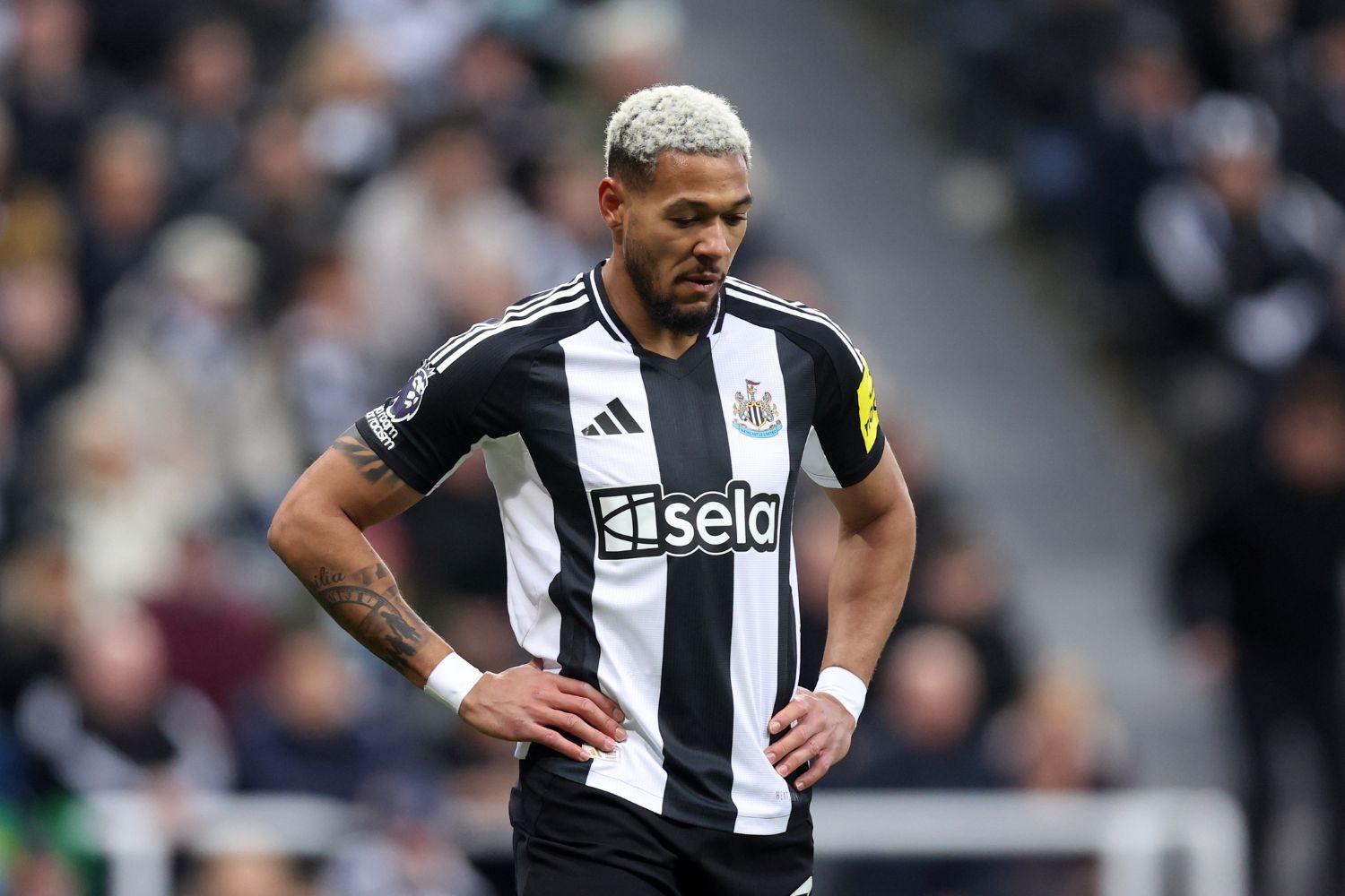 Joelinton jouant pour Newcastle United