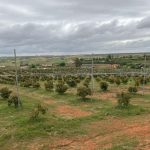 Crise de l’eau au Maroc - l’avocat accusé d’assécher les nappes