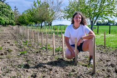 Sculpture Marianne réalisée par Marcel Chalumeau à Panazol