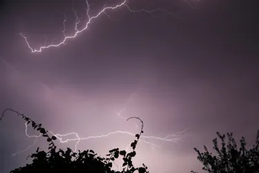 Enfants participant aux ateliers sportifs lors des Jeux olympiques scolaires à Auxerre