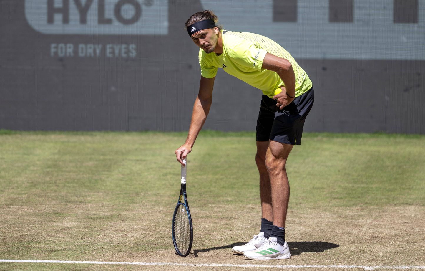 Zverev interrompu par une pause toilette lors de son match à Halle