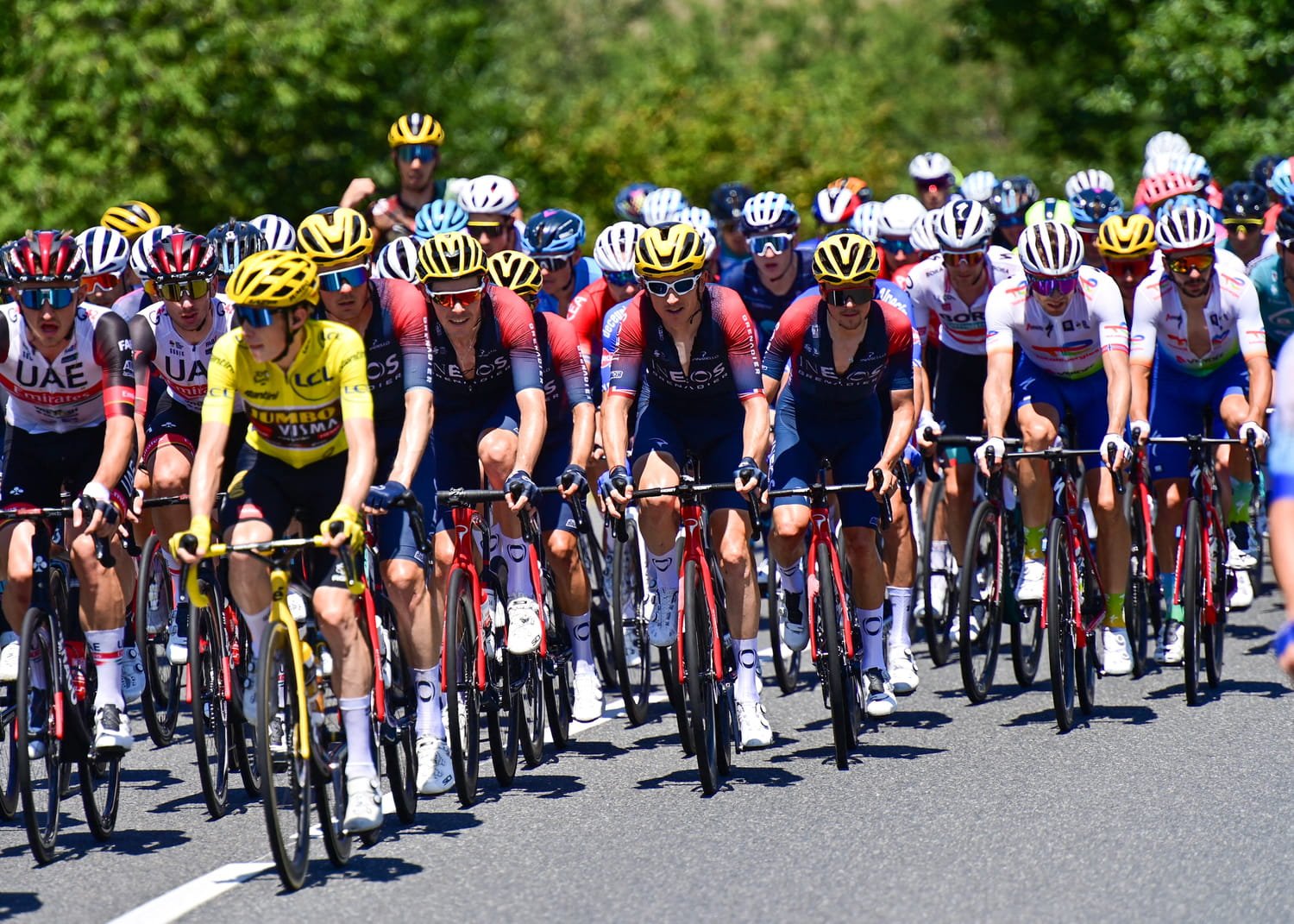 Tour de France 2025 : le plus jeune et le plus vieux coureur à l'honneur