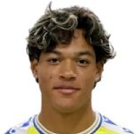 F. Castillo-Orellana