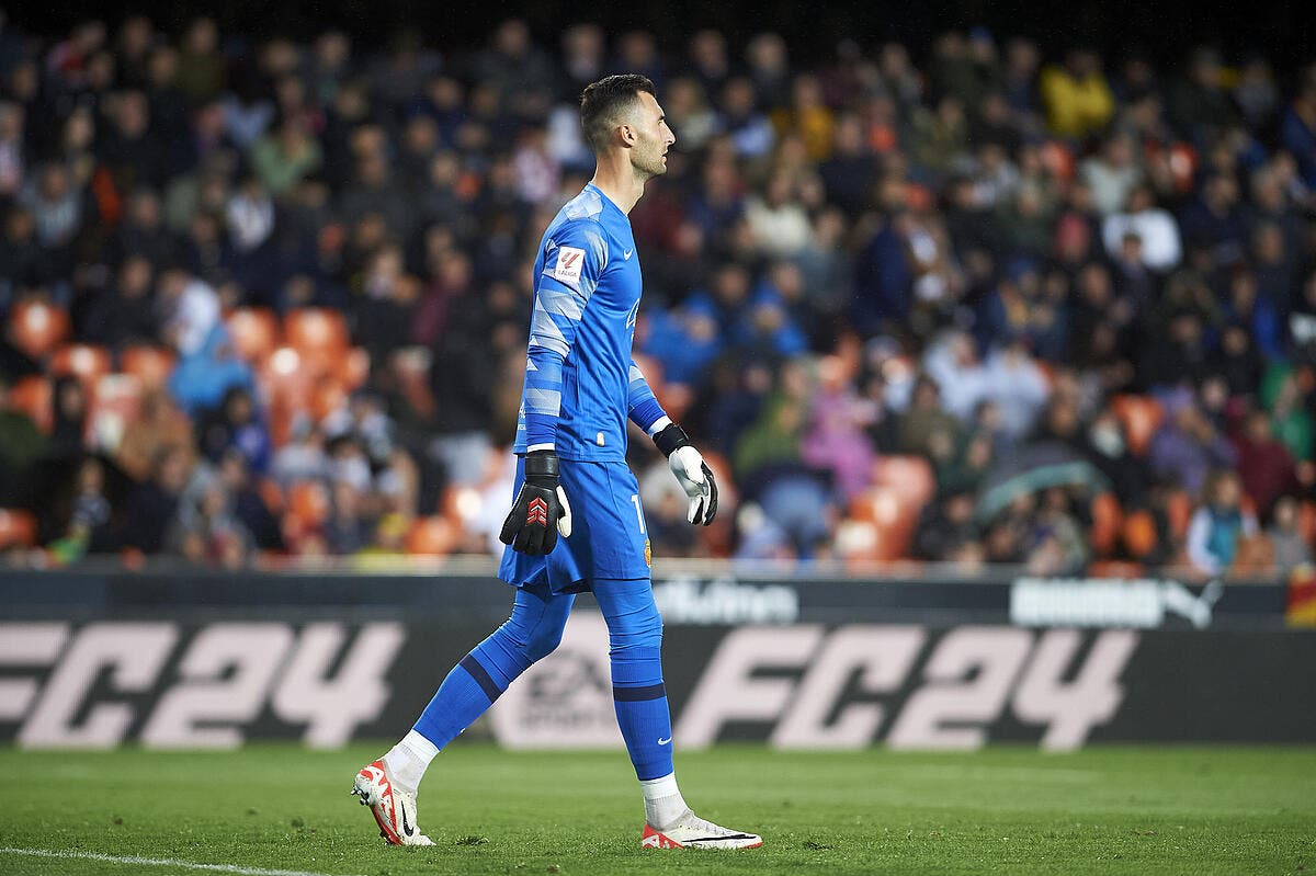 L'OL s'assure la signature du gardien Dominik Greif