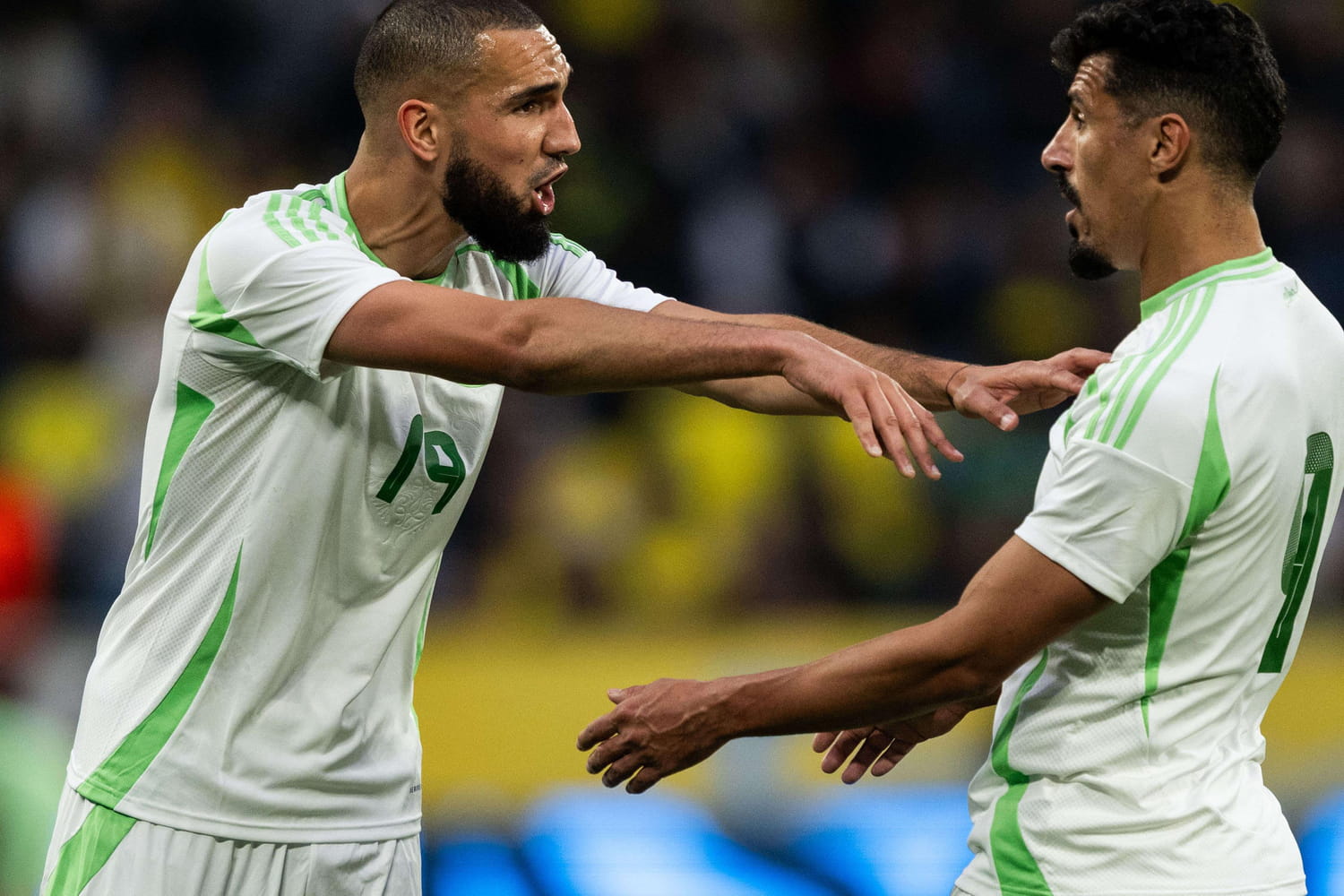 Algérie - Botswana : Qualification en vue pour la Coupe du Monde