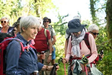 Vue générale des clubs participant à la reprise de la D1 dans le Loiret
