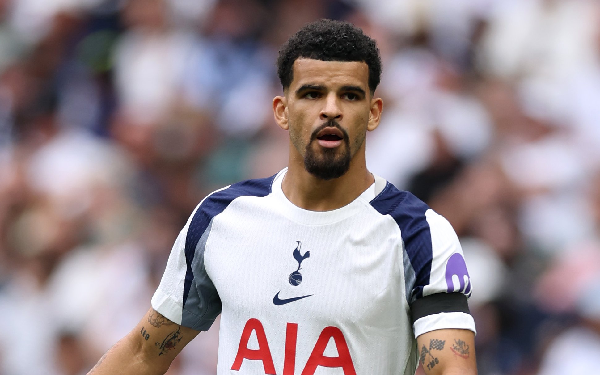 Dominic Solanke lors de la récupération à Tottenham