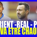 Mercato OM : Repartir de zéro, quelles stratégies pour l'avenir ?