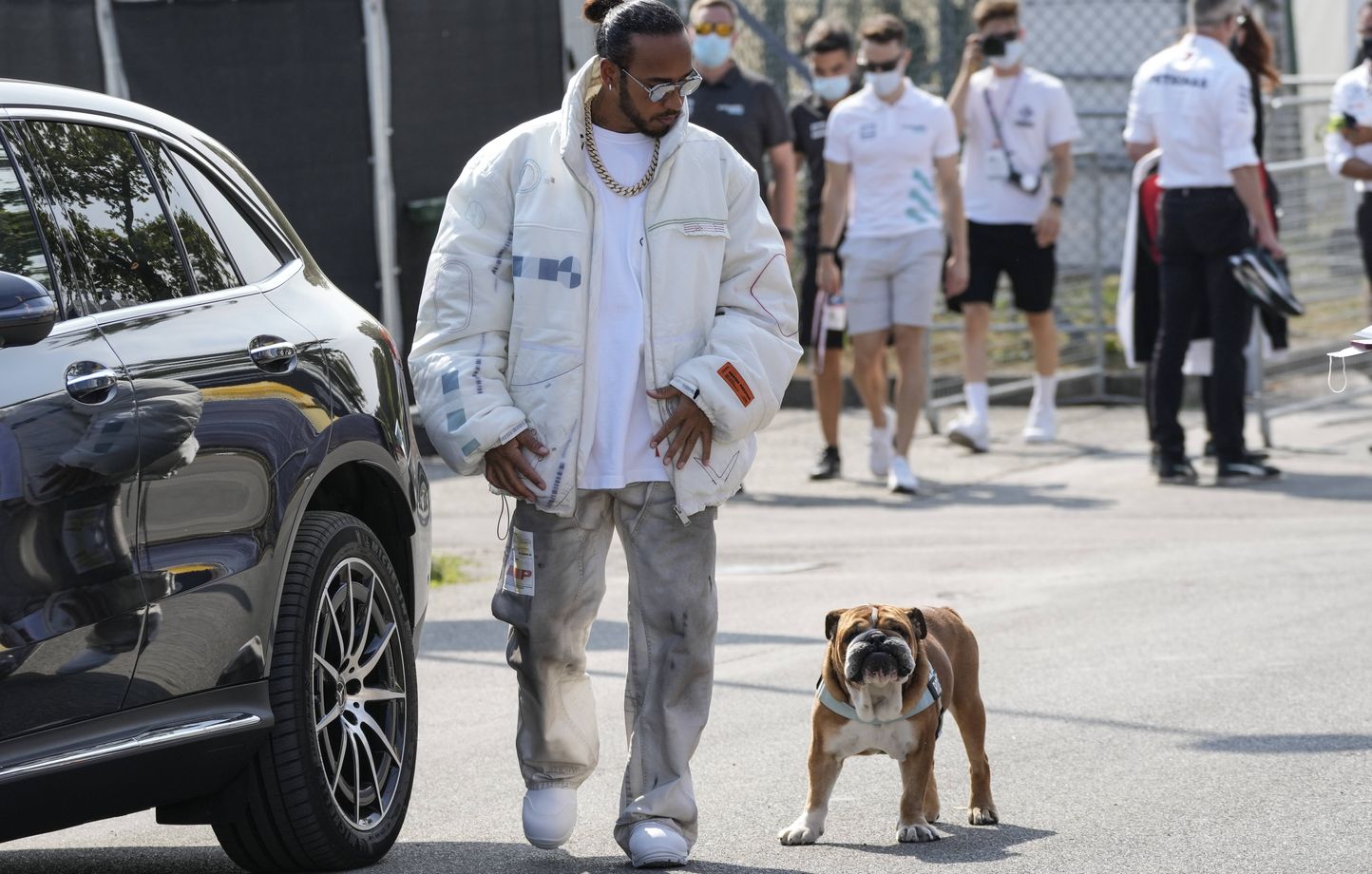 Roscoe, le chien de Hamilton, est mort: hommage et émotions