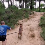 Deux jeunes Carbonnais sélectionnés pour les Mondiaux de canicross 2025