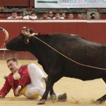 Championnat de France de course landaise : incident rare avec Lorca