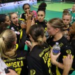 Handball : Nice domine Plan-de-Cuques en Coupe de France