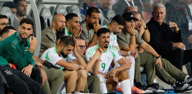 Vladimir Petkovic, sélectionneur de l’Algérie