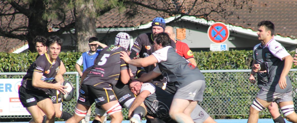 Rugby et volley : L'Union en pleine confirmation en Occitanie