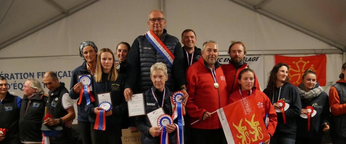 Centaure sacré champion de France de Trec attelé en Élite