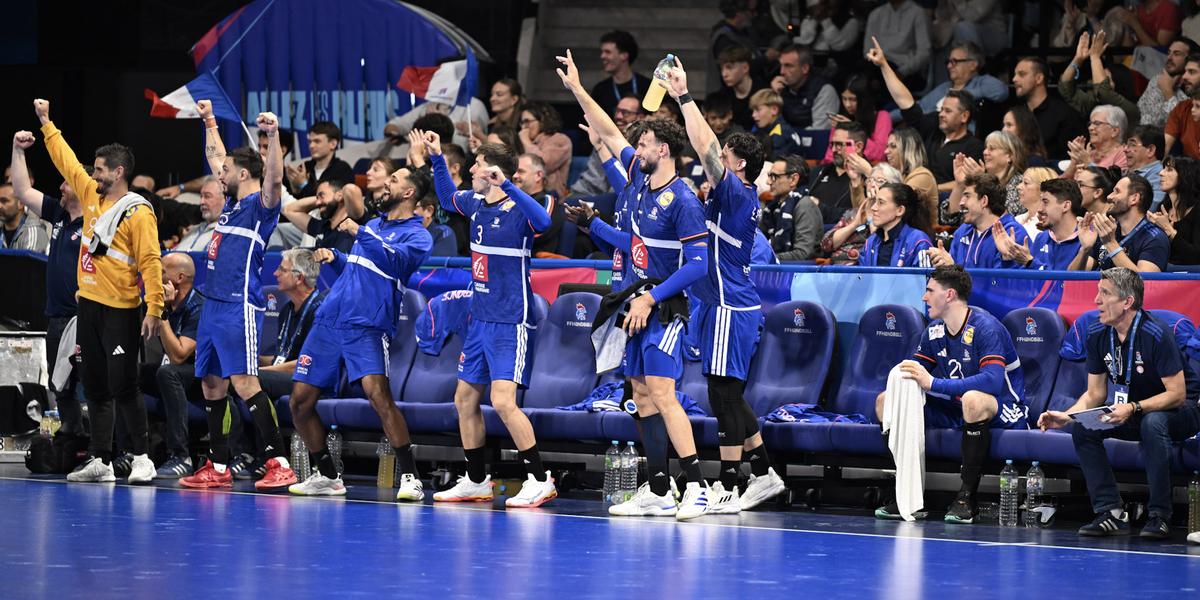 Handball : La France s'impose face à l'Italie à Pau