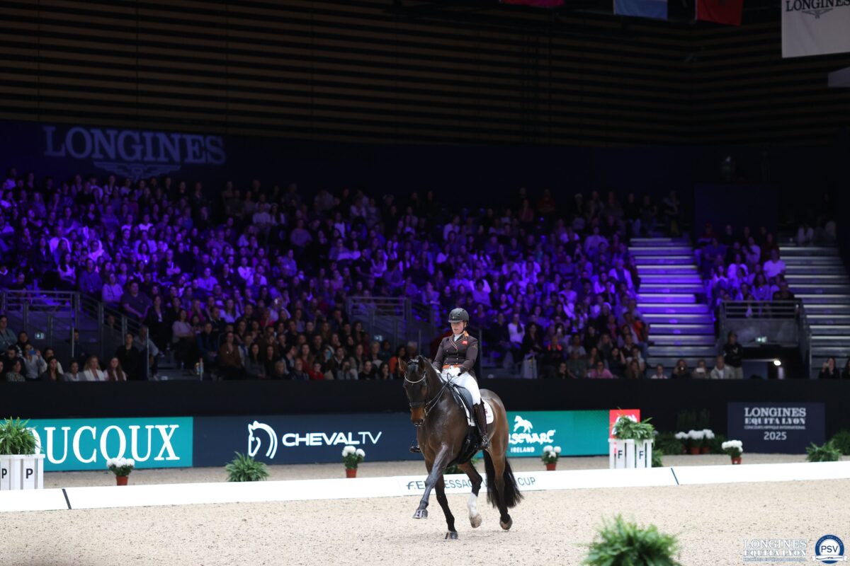 Justin Verboomen et Zonik Plus en action