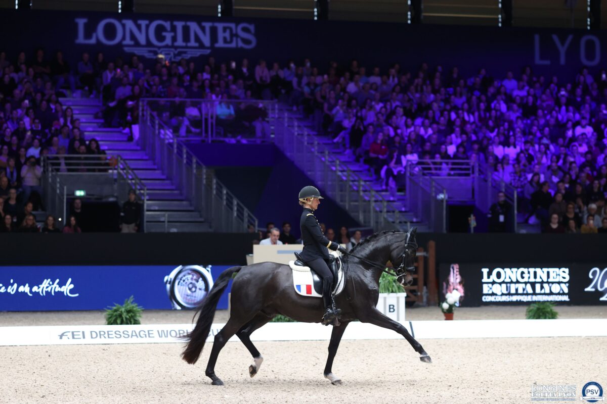 Pauline Basquin et Sertorius de Rima Z IFCE