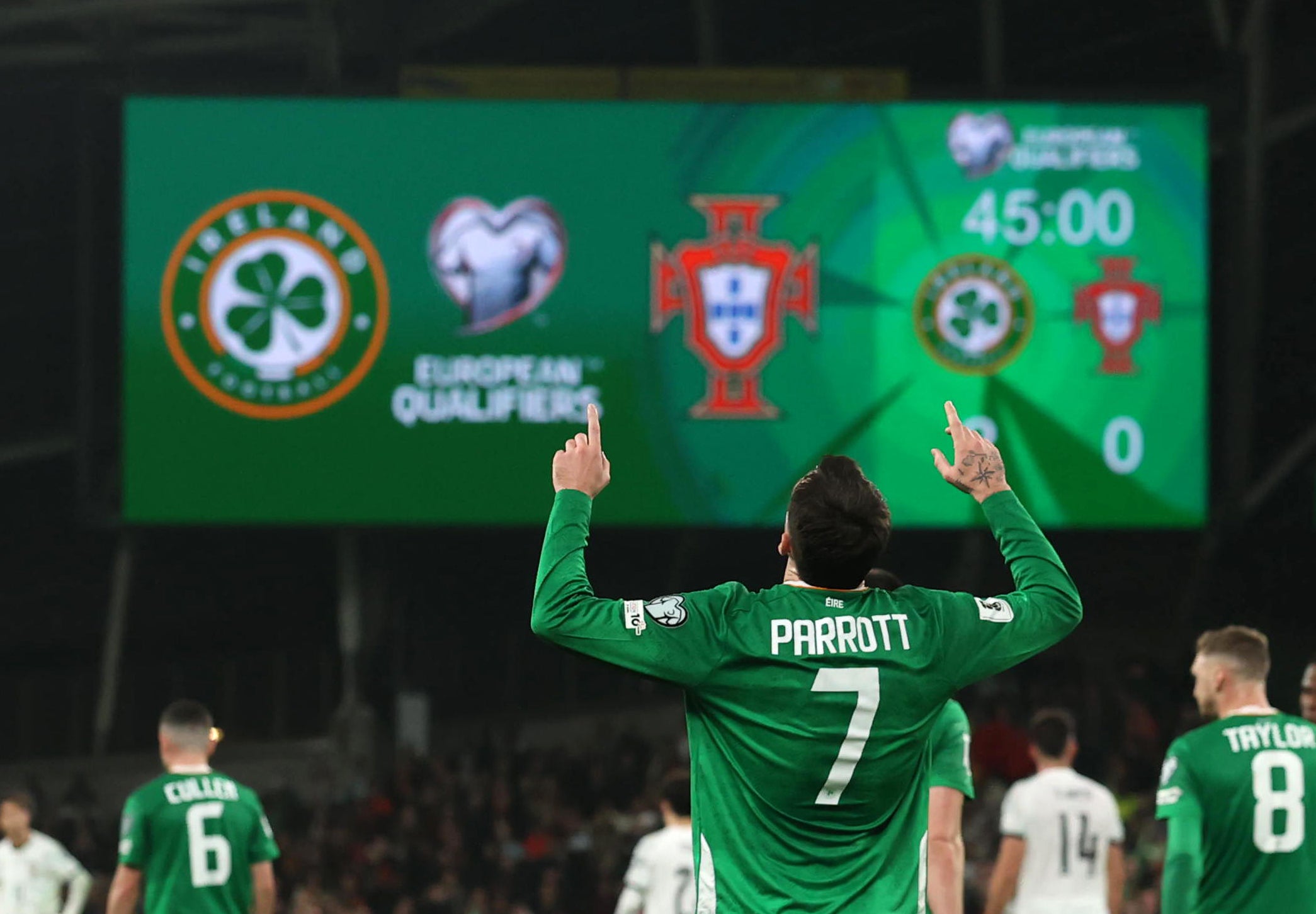 Célébrations des joueurs irlandais à la fin du match