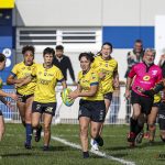Rugby Fédérale 2 : Les Licornes en déplacement à Lille pour se relancer